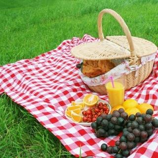 野餐歌单！！！！