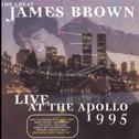 Live at the Apollo 1995专辑