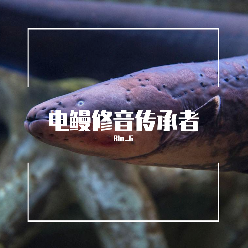 电鳗修音传承者