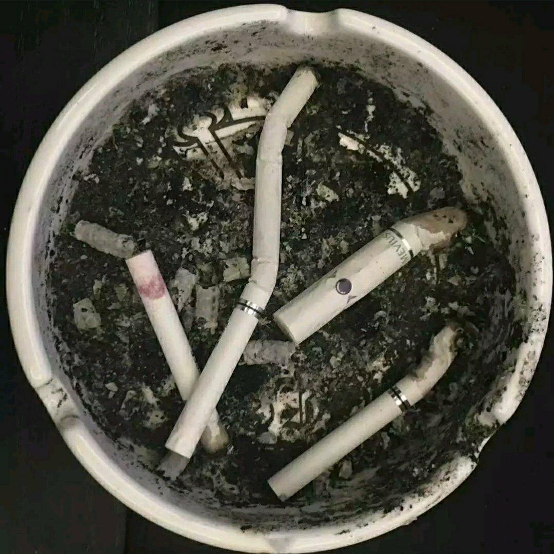 品味永远属于年轻的穷人 | 在线播放 | 网易云音乐