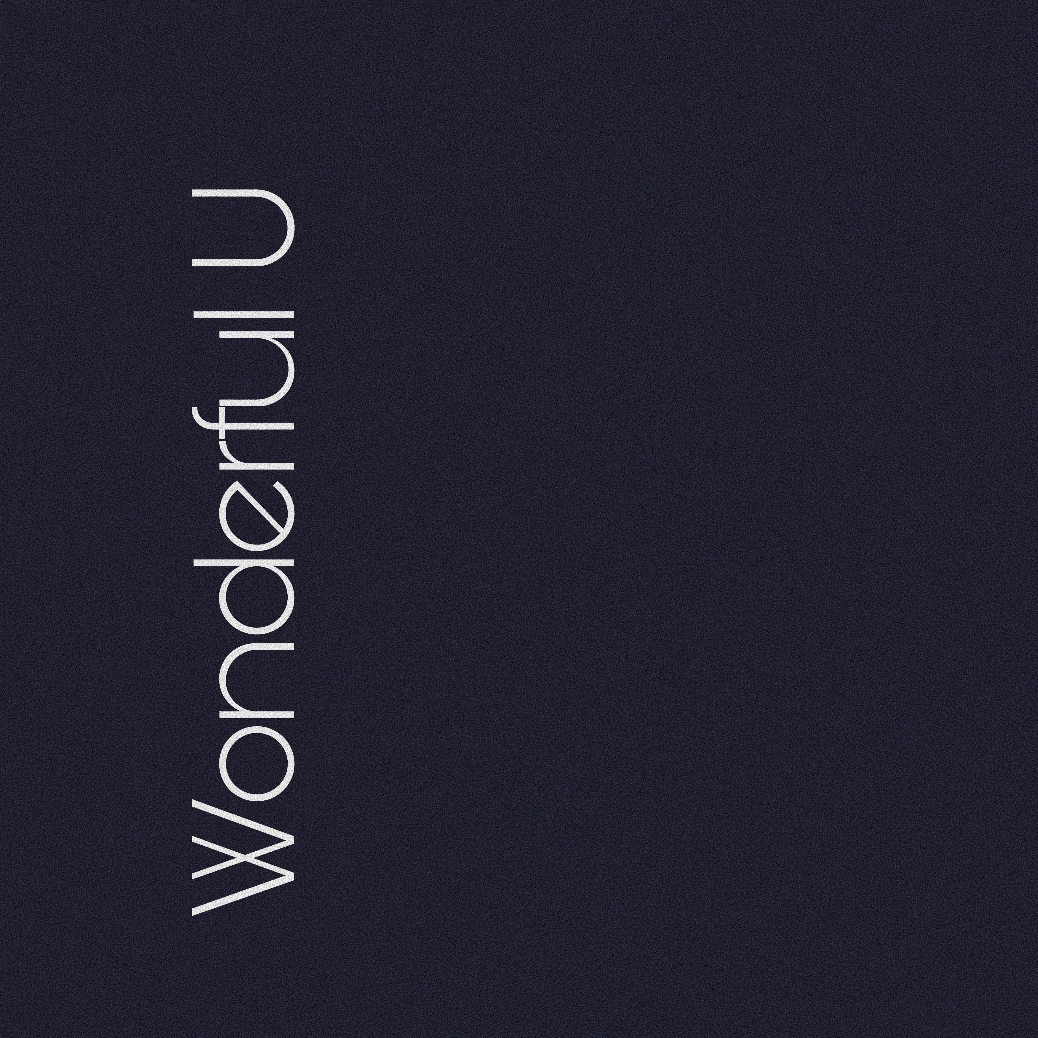 Wonderful U