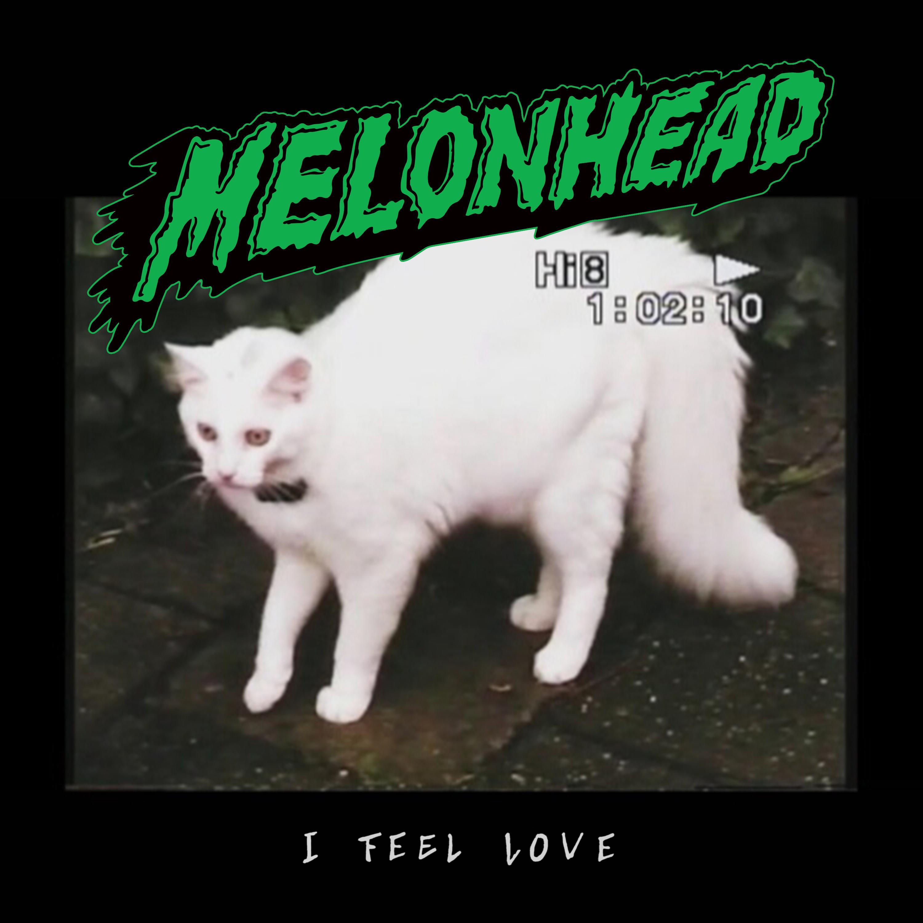 I Feel Love