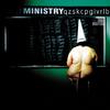 Ministry - Step