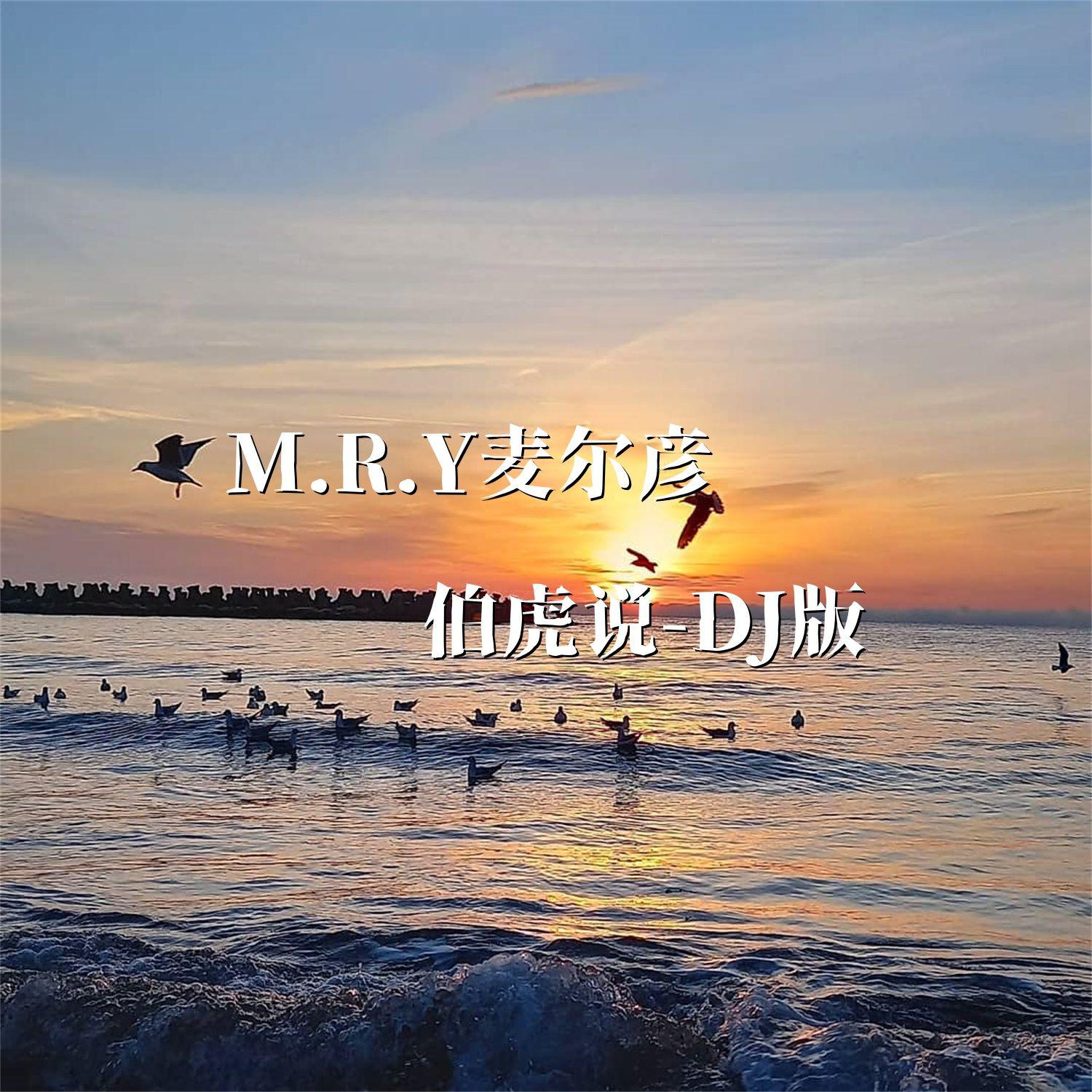 伯虎说（DJ版）