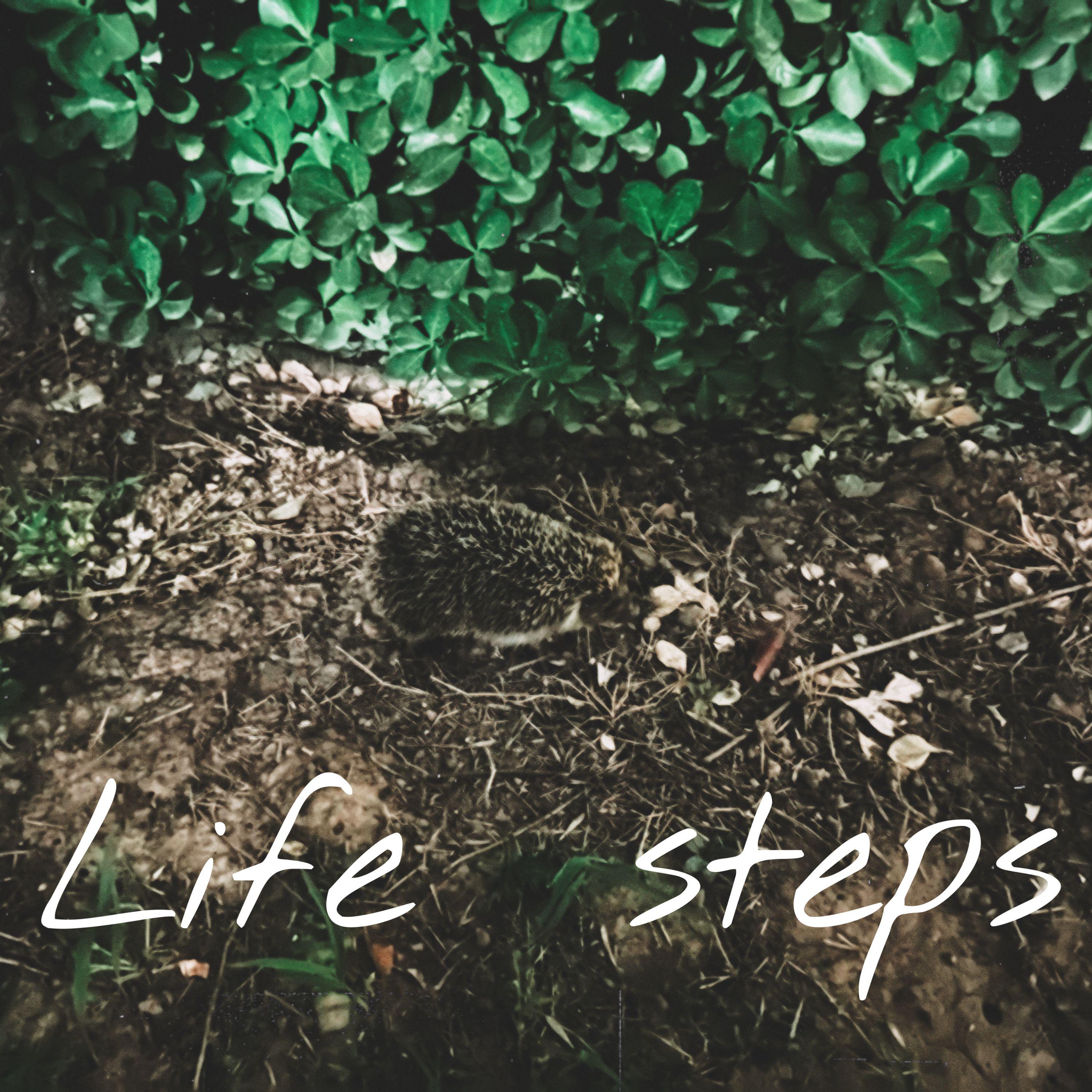 Life Steps