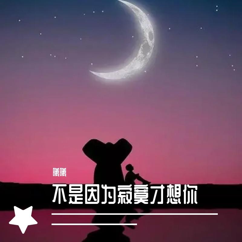 不是是因为寂寞才想你