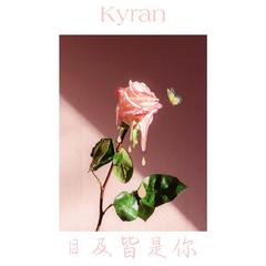 小蓝背心-目及皆是你 （DJ 咚鼓版）（Kyran remix）