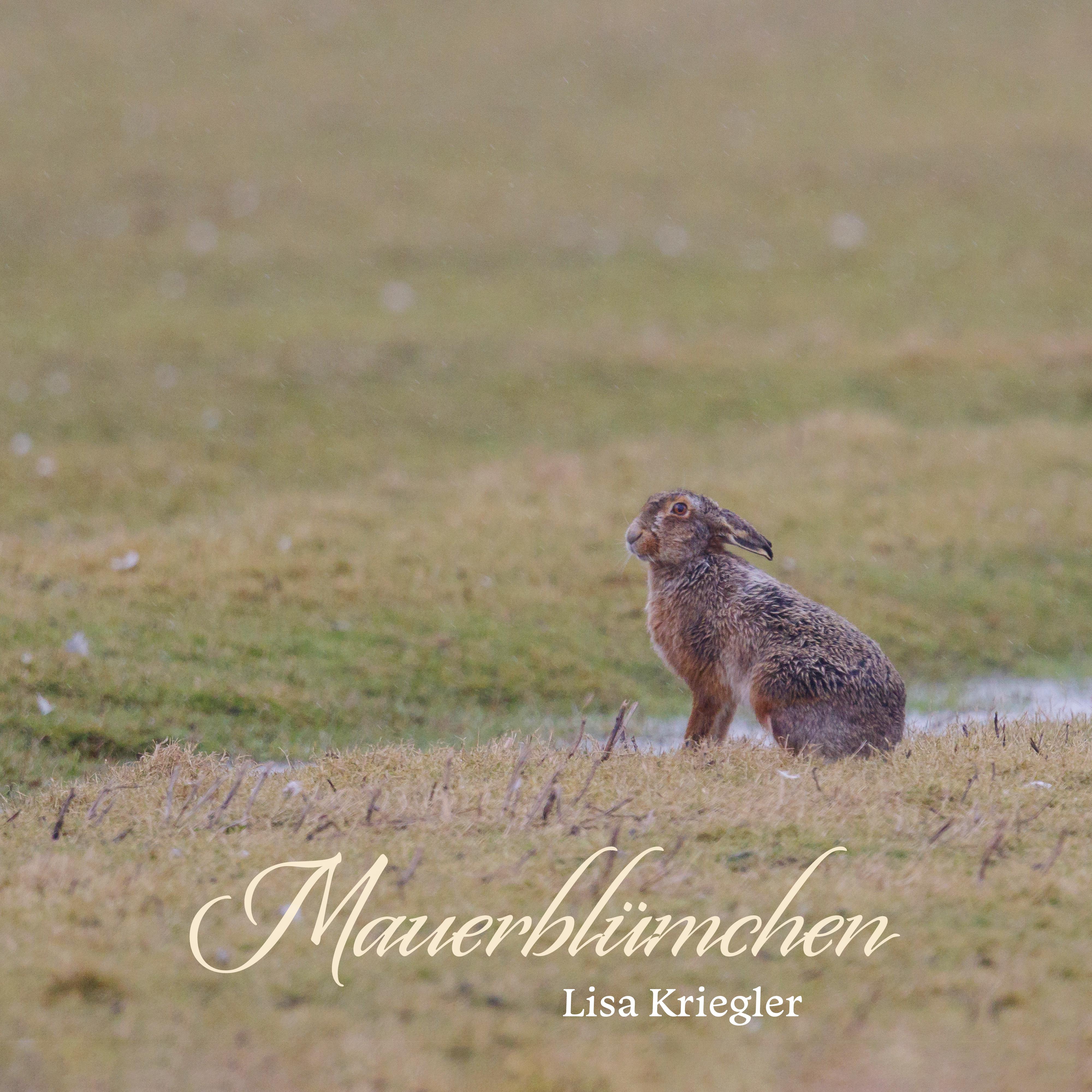 Lisa Kriegler - Mauerblümchen