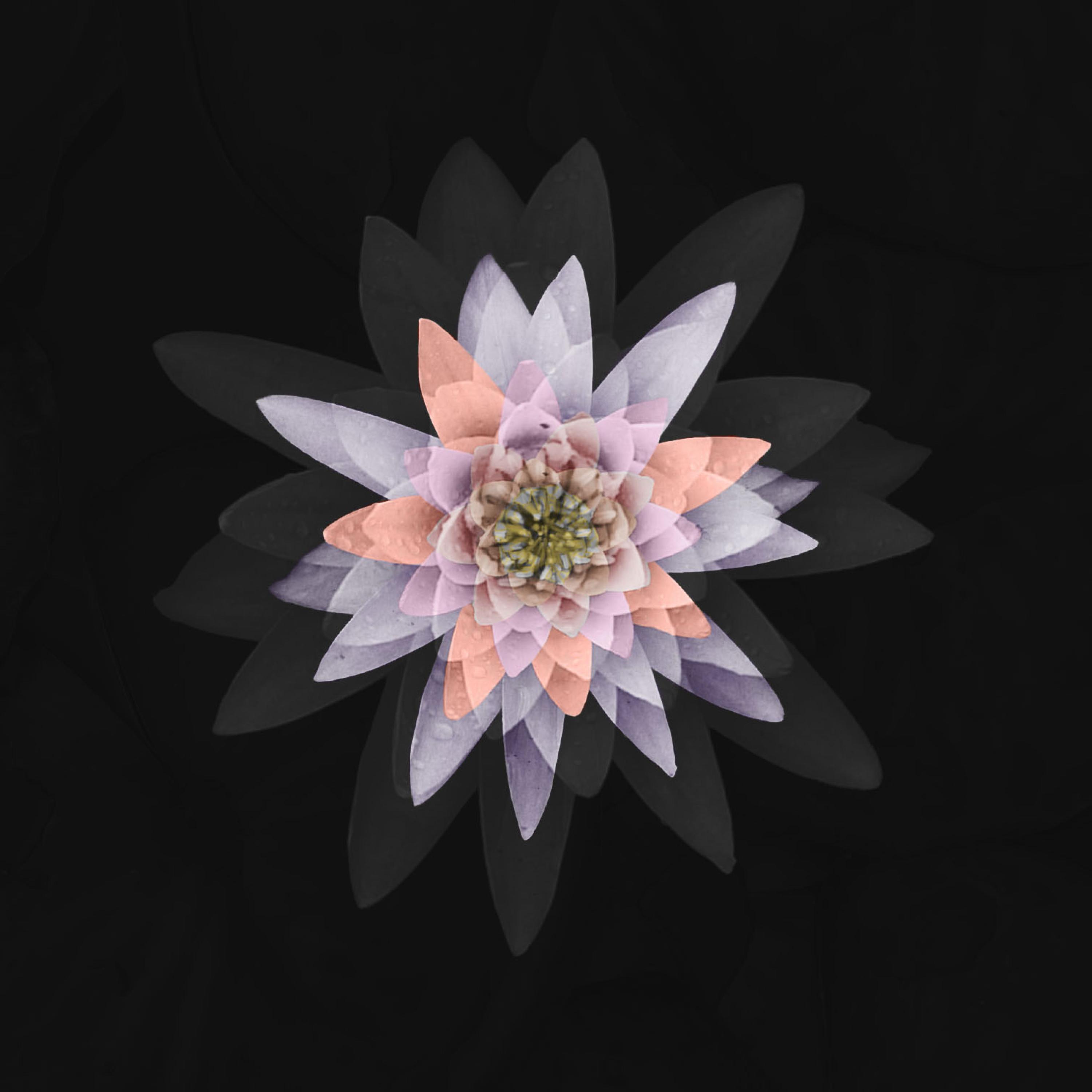Dakini (God's Eye Mix) (feat. Sunspot Jonz, Tajai & Phesto of Souls Of Mischief & Butch Swim)