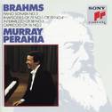 Brahms:  Sonata No. 3, Op. 5;  Rhapsodies, Op. 119, No. 4 & Op. 79, No. 1;  Intermezzo, Op. 76, No. 专辑