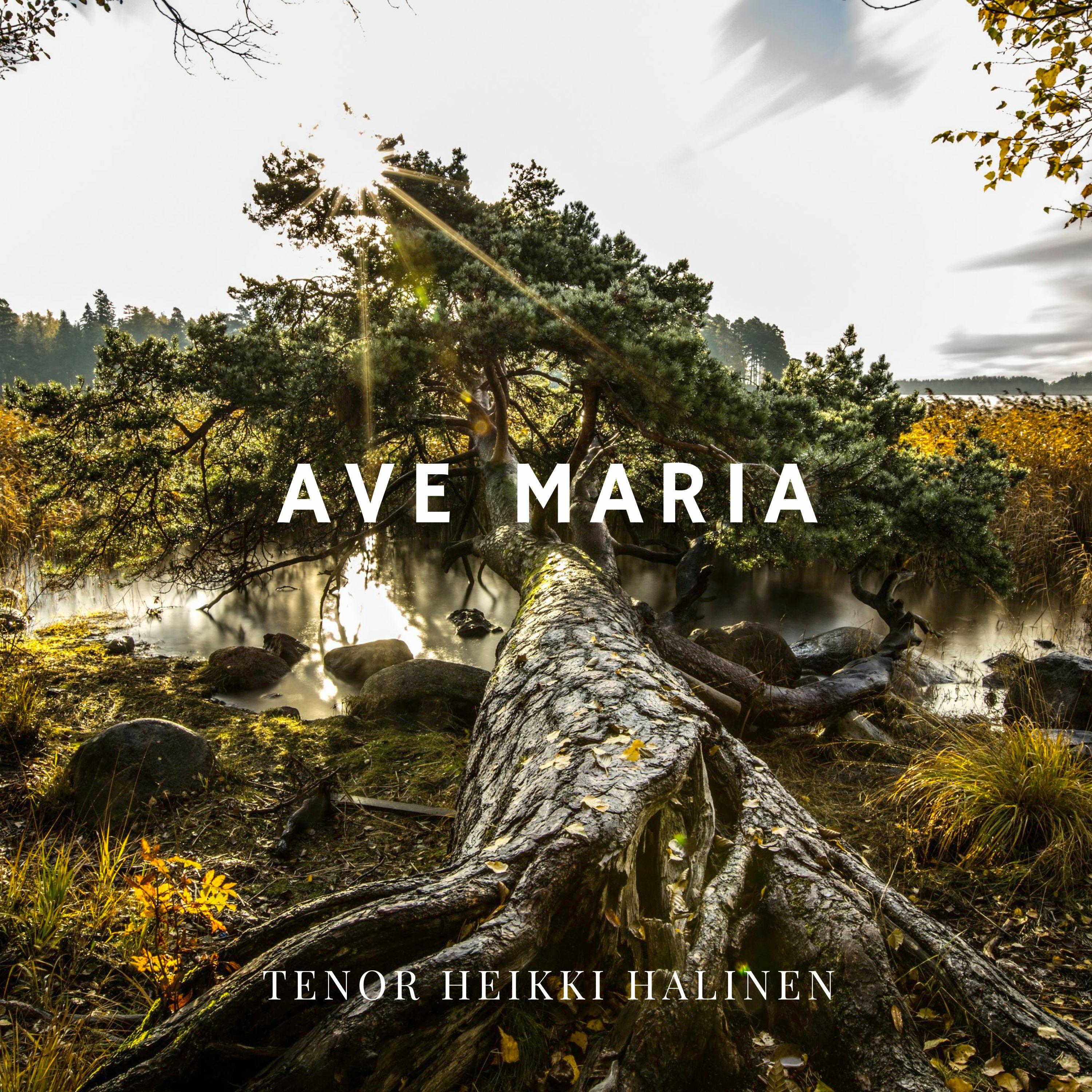 Ave Maria D.839专辑