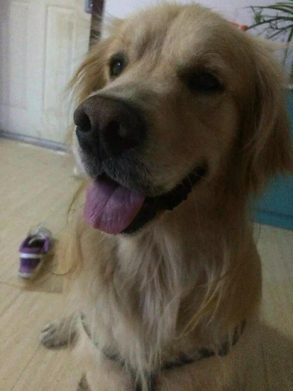 写给老刘