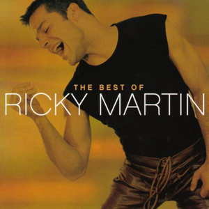 Private Emotion - Ricky Martin & Meja (PT karaoke) 带和声伴奏