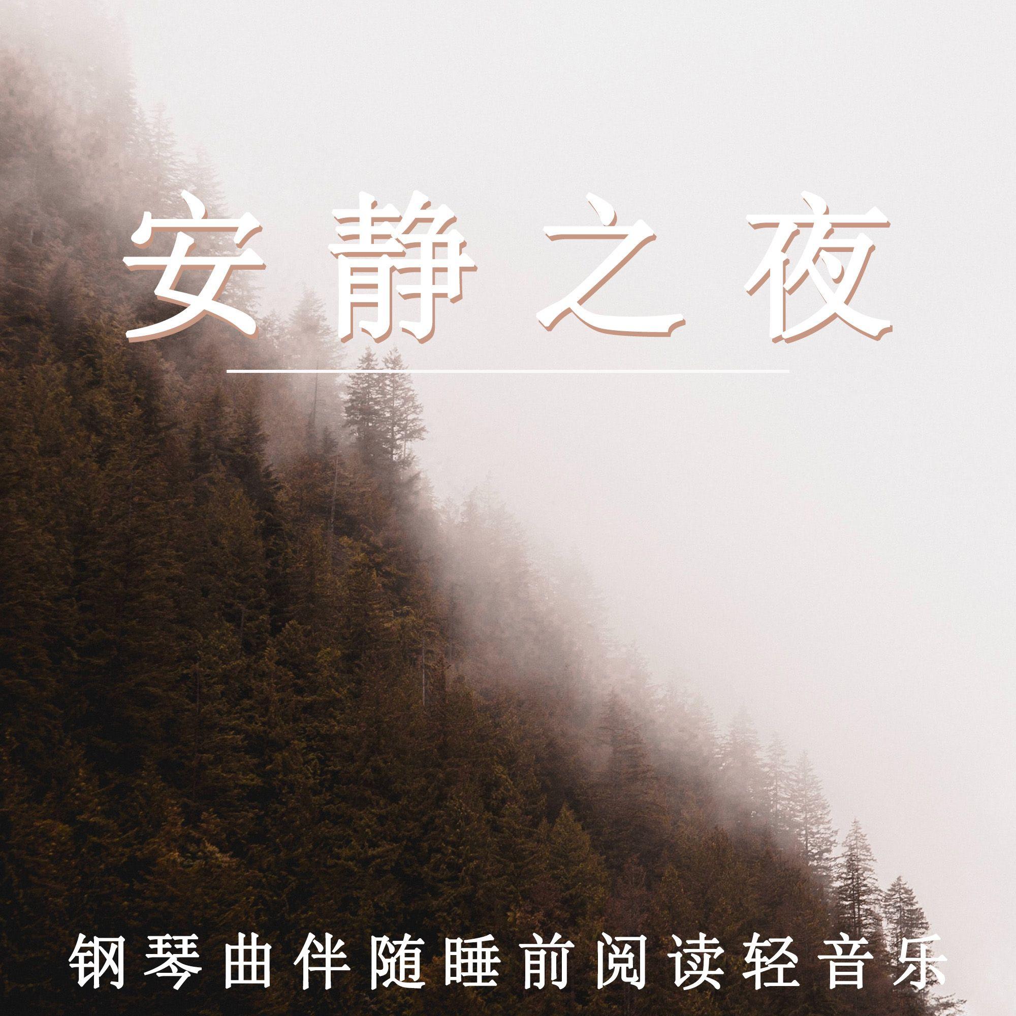 安静之夜 钢琴曲伴随睡前阅读轻音乐