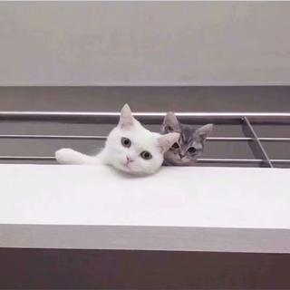 宝藏男孩 谓之太一❤︎