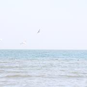 第三人称
