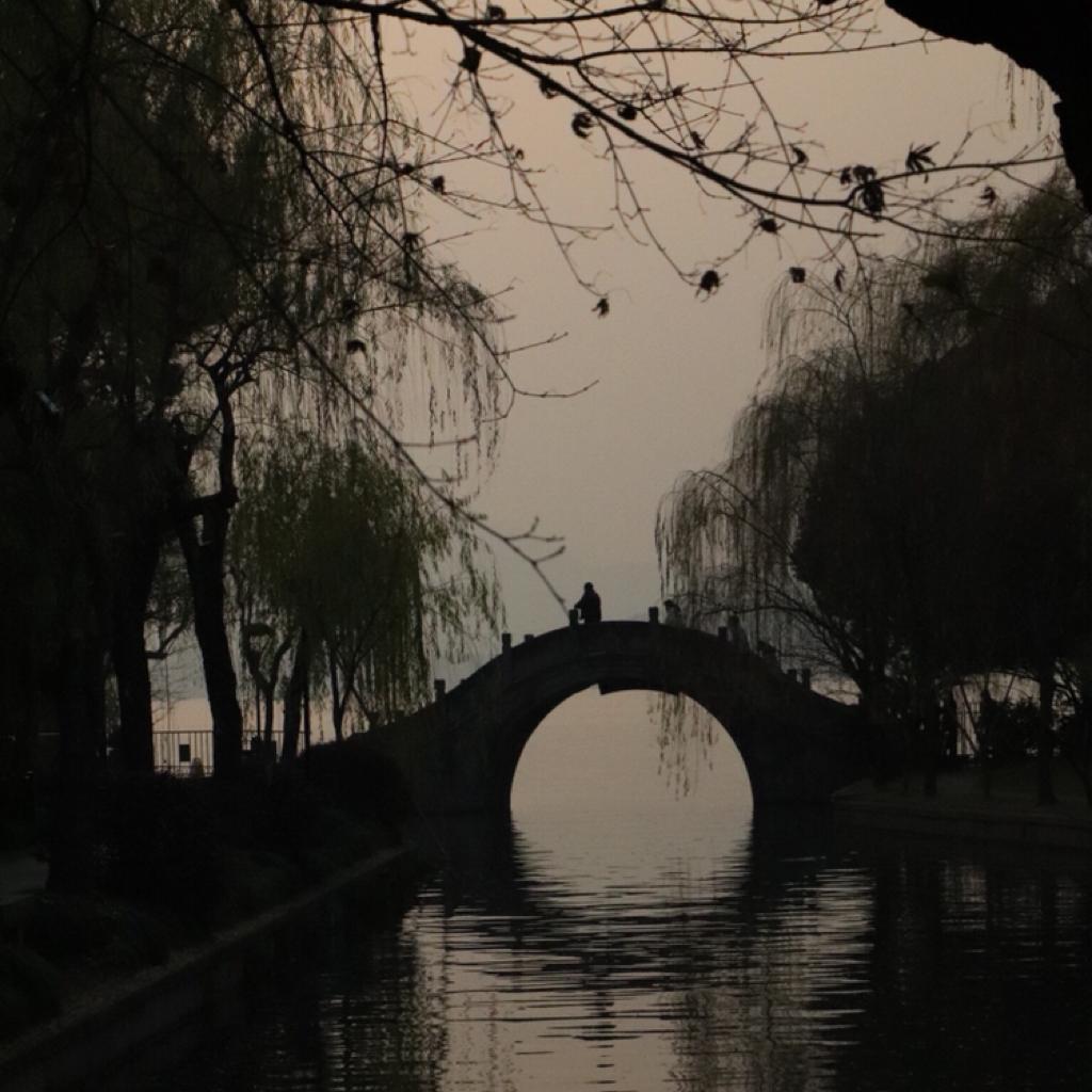 「柯西不等式」 | 在线播放 | 网易云音乐