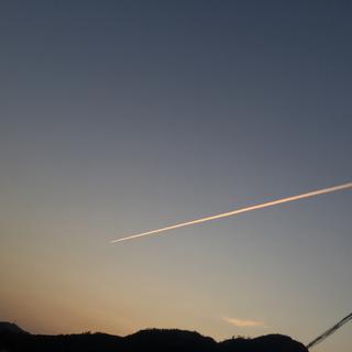 音乐鉴赏