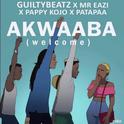 Akwaaba (Welcome)专辑