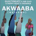 Akwaaba (Welcome)专辑