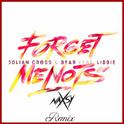 Forget Me Nots (Naxsy Remix)专辑