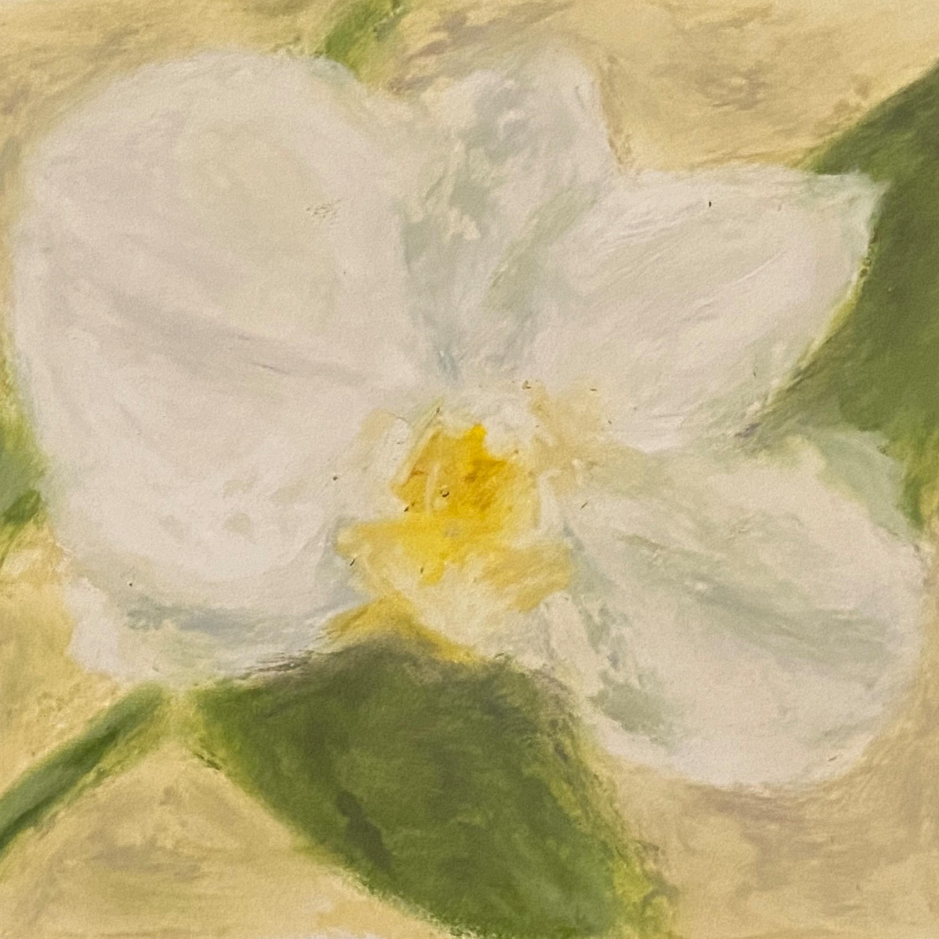 ORCHID (with Robiq)