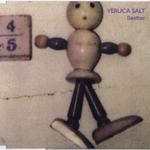 Seether (Veruca Salt Cover)专辑