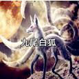 千年白狐