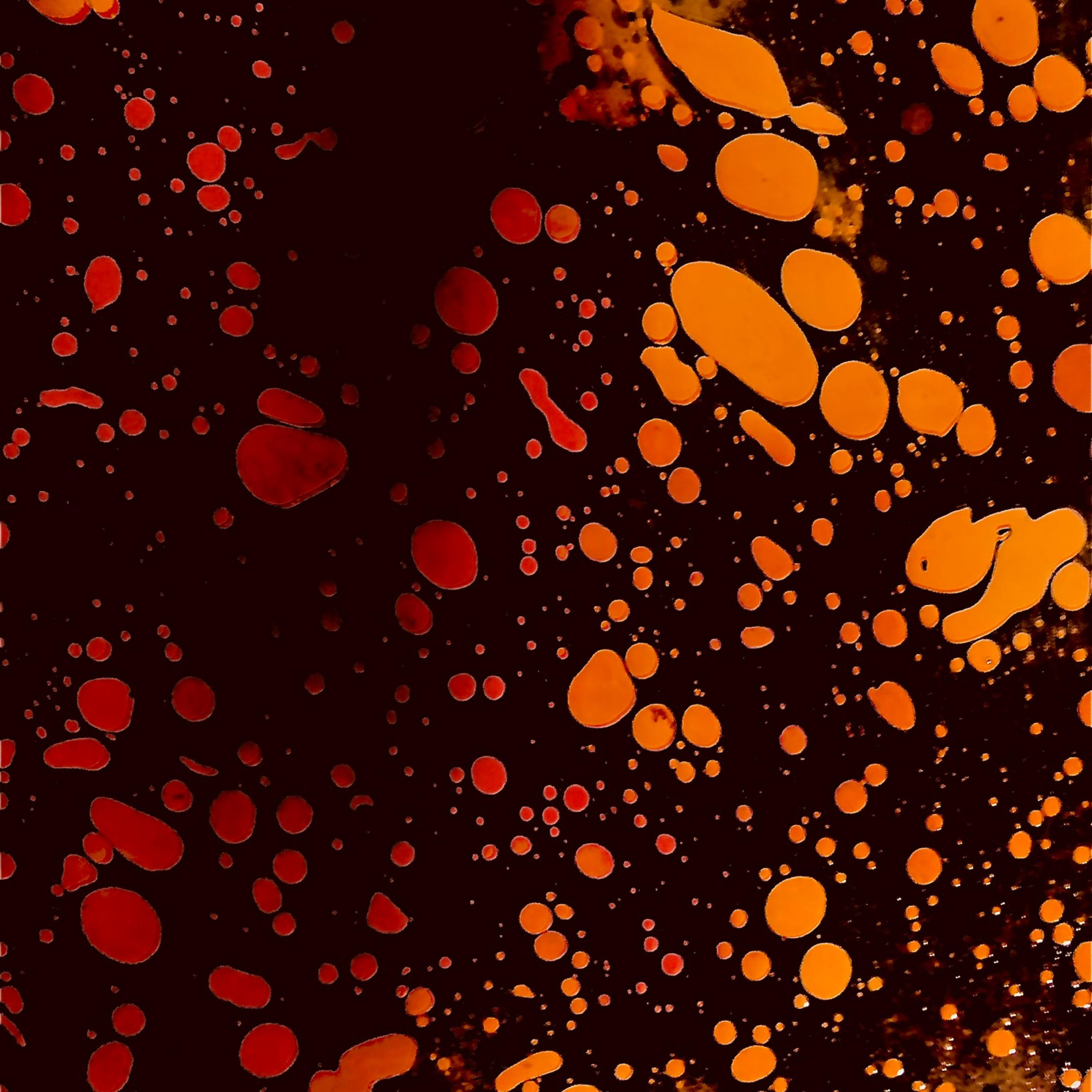 Blood Sacrifice