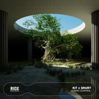 LOSING CONTROL - TROYZ