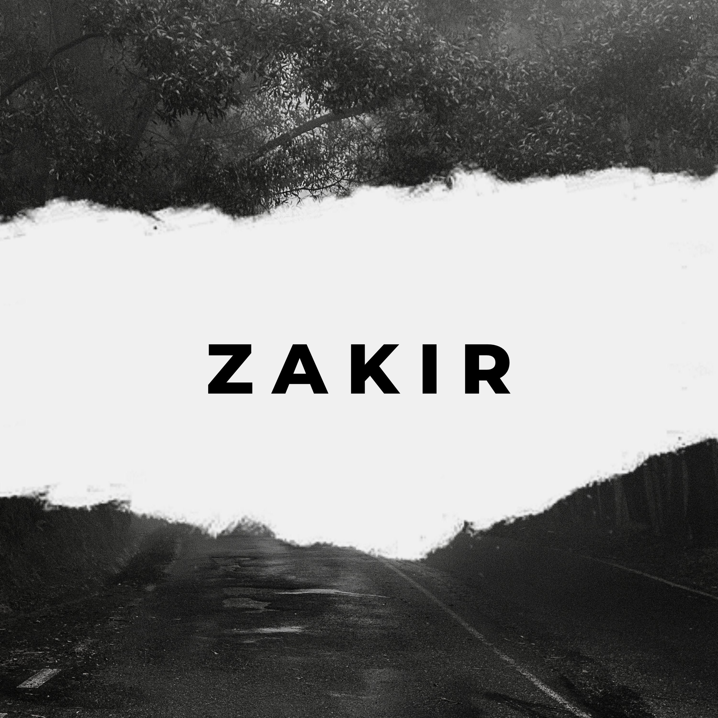 Zakir - Brain Jumble (Dmitry Molosh Remix)