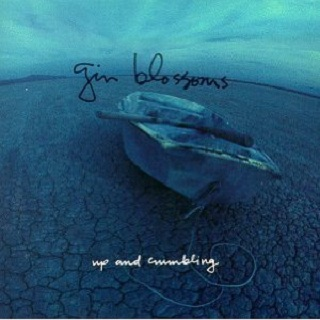 Gin Blossoms - Just South of Nowhere