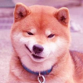 运动、游戏走位BGM（抖腿不停系列）