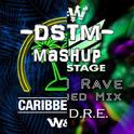 Still Caribbean ( -DSTM- Mashup )专辑