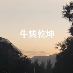 牛转乾坤