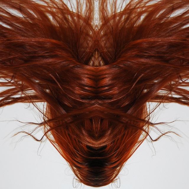A Collection Of Hair