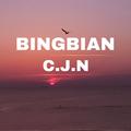 BINGBIAN病变