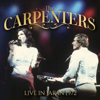 The Carpenters - I'll Never Fall In Love Again (unofficial Instrumental)