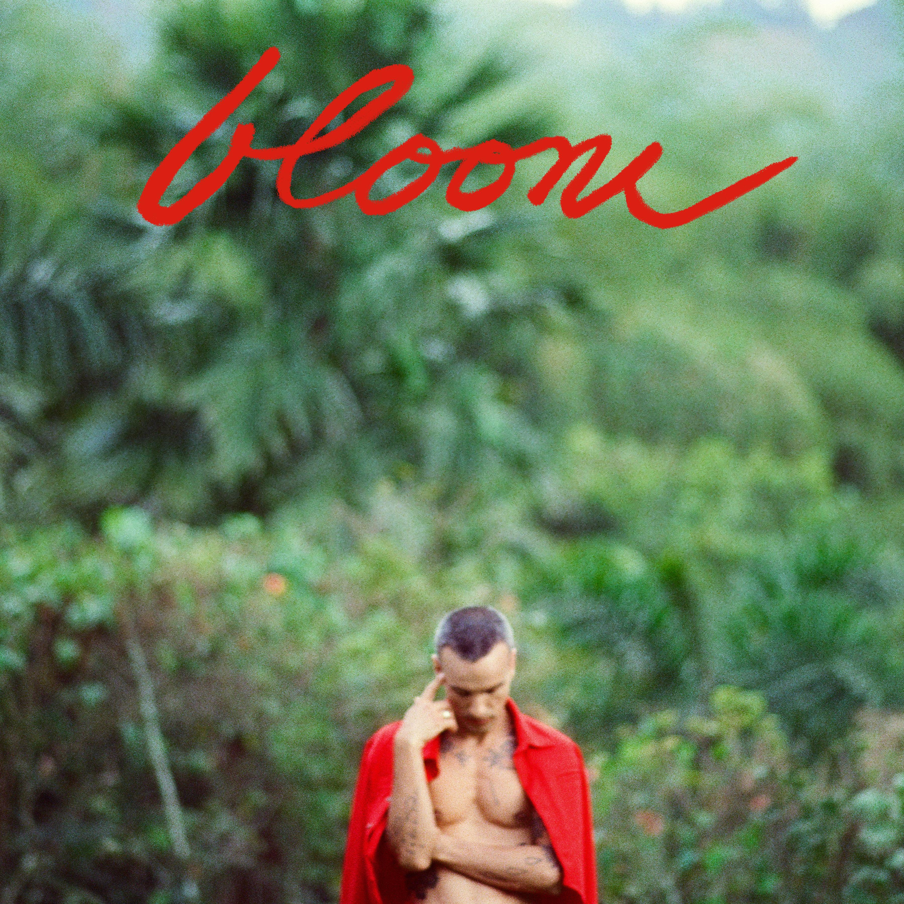 Bloom
