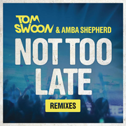 Not Too Late (Remixes)