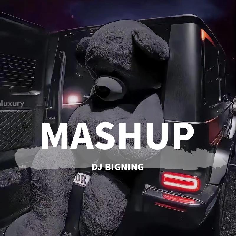 雪 Distance + 隆里电丝 (DJ BIGNING Mashup)