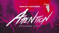 Attention (with Justin Bieber) [Disclosure Remix]专辑