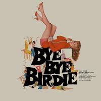 One Boy - Bye Bye Birdie (karaoke)