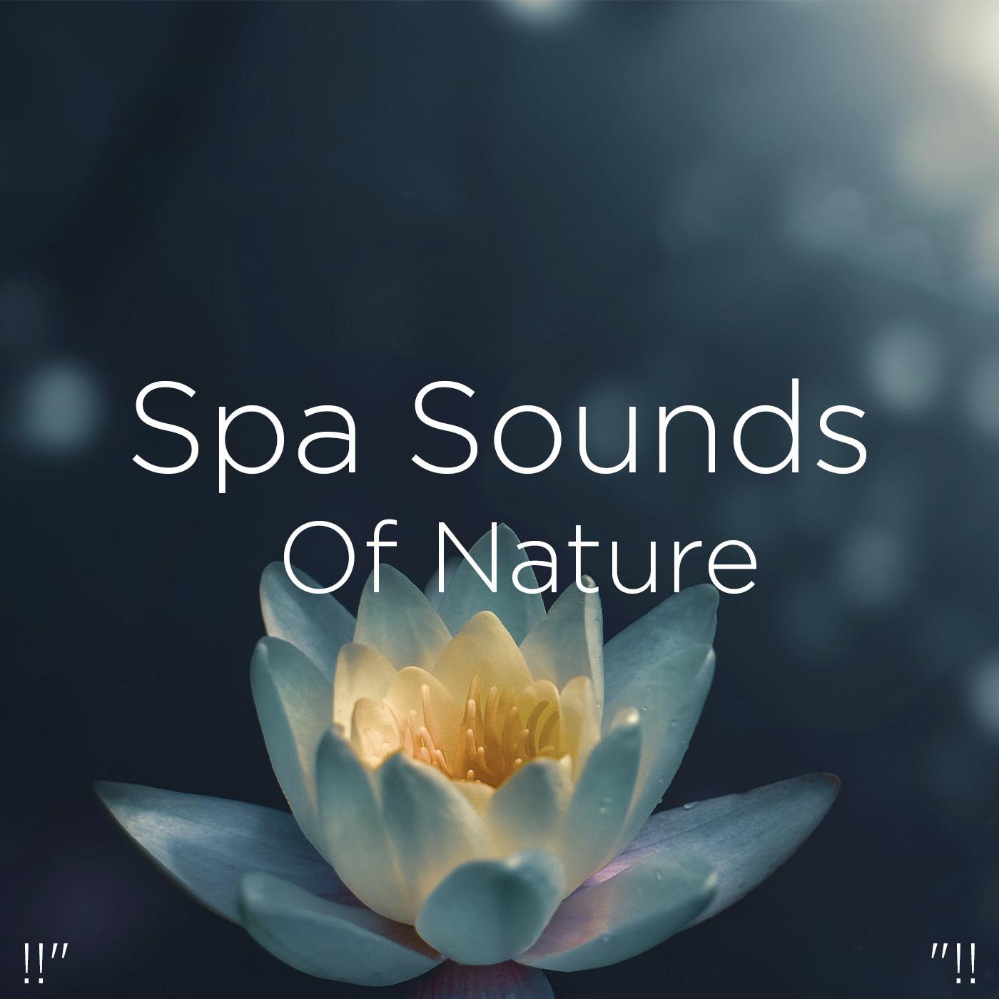 !!" Spa Sounds Of Nature "!!