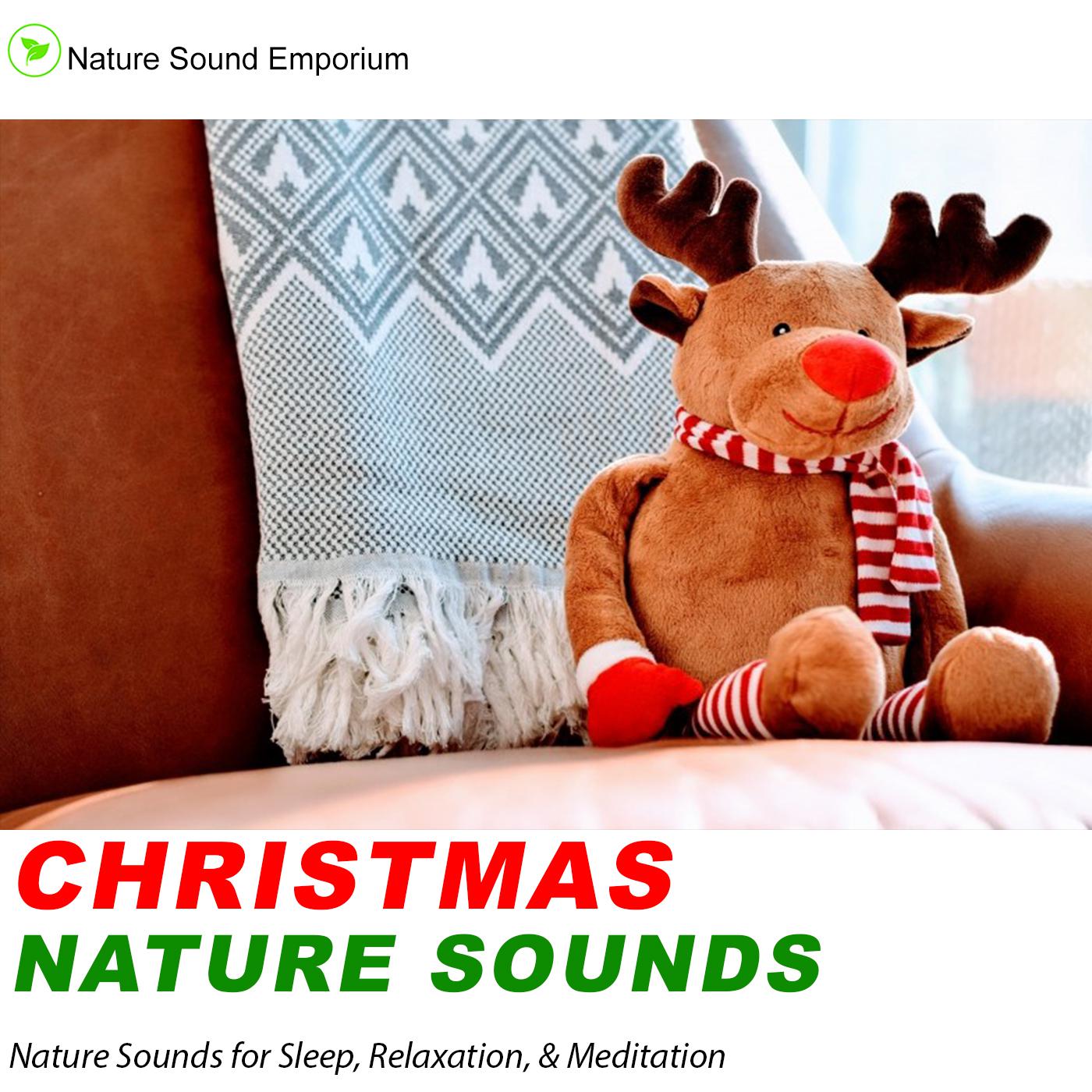 Nature Sounds - Christmas Nature Sounds -Nature Sounds for Relaxation, Meditation, Studying & Deep Sleep Part 1