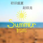 初识盛夏专辑