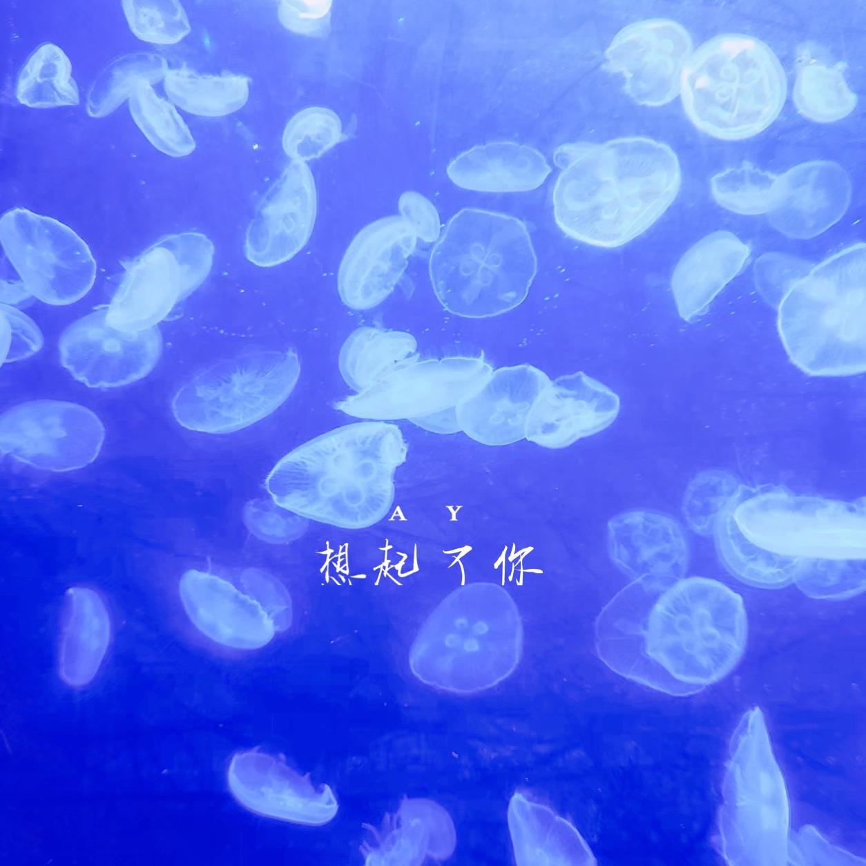 阿越Ay：蔷薇