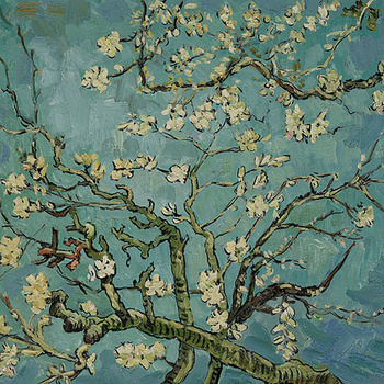 Spring Morning Flowers