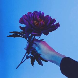 咱不是在听音乐，而是在玩耳朵！