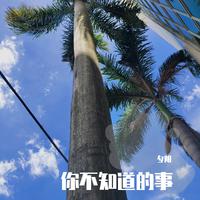曲剧伴奏 白兔记 夕阳缓缓西山下